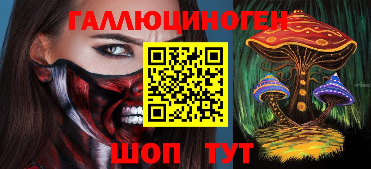 Менделеевск  Псилоцибиновые грибы MAGIC MUSHROOMS  где продают   Вход с VPN 
