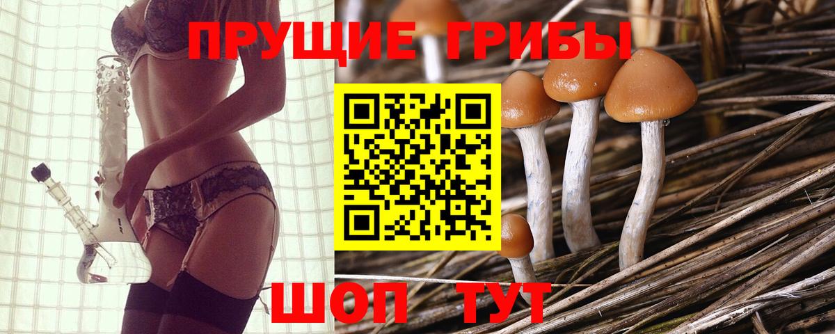 Галлюциногенные грибы прущие грибы Менделеевск